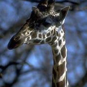 Nancy Cole's photo