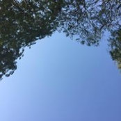 Foto von Anirban Deb