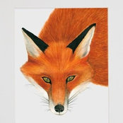 Foto de Lauri Fox
