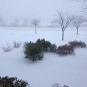 Josephine Carr's photo