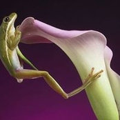 Elisa Bridgeman's photo