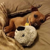 Debbie Alder's photo