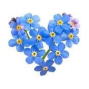 Jennifer Brightman's photo