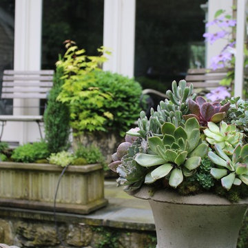 Rosebrook Garden 2017 Garden Tour