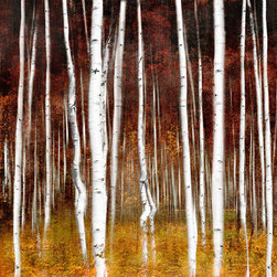 Franklin Arts - Multi Panel Art - Aspen Birch Tree Abstract Wall Artwork - Prints And Posters