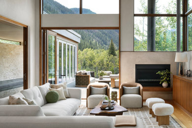 Living room - modern formal light wood floor and brown floor living room idea in Denver with a standard fireplace, a plaster fireplace, no tv and white walls