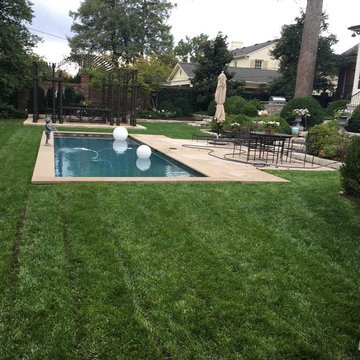 Backyard Pools