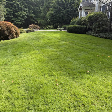 Sloped Front Lawn with Hedges and Shrub Beds - Westchester, NY
