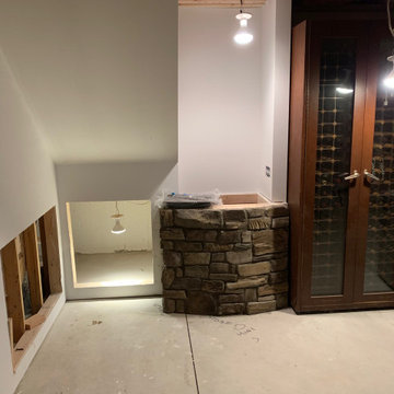 Basement with Speak easy, Theater, Workout room and Lounge area - under constru