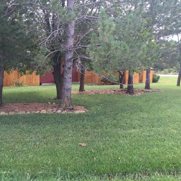 Custome cedar fence