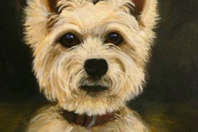 Dog and Pet paintings