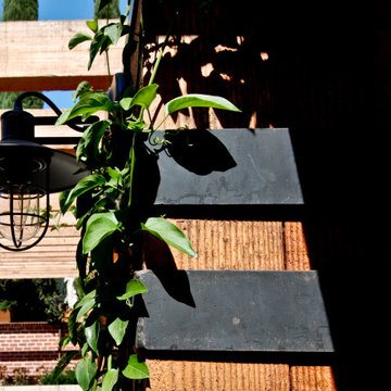 Burkd Triollo Art Studio