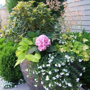 Design ideas for a bohemian garden in Seattle with a potted garden.