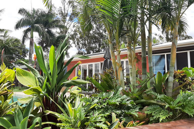 Design ideas for a tropical full sun formal garden in Sunshine Coast with a garden path.