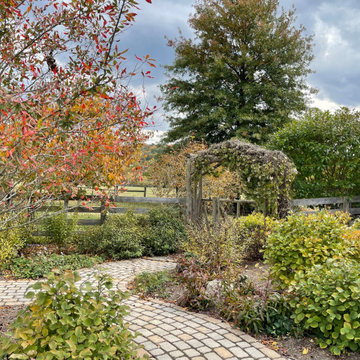 Permeable walkway to backyard meanders amongst fall colored native plants