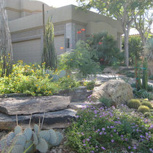 Gavin Stone Backyard