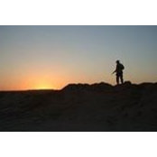 Anthony Mauer's photo