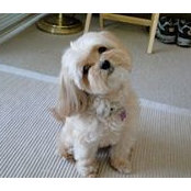 Colleen Johnston's photo