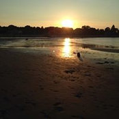 Suzanne Annear's photo