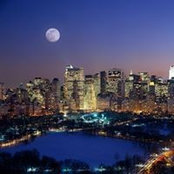 Carol Meiller's photo
