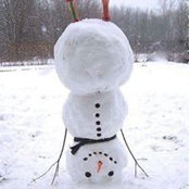 Cindy Tillman's photo