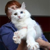 Анна Старостина's photo