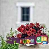 محمد المالكي's photo