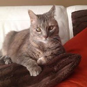 Joyce Scerri's photo