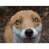 Sandra Jones's photo
