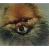 Barbara Heenan's photo