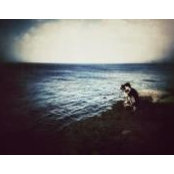 Vincent Lee's photo