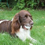 Jackie Scott's photo