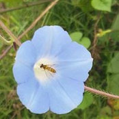 Mandy Walley's photo
