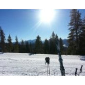 Kristi Bloodworth's photo