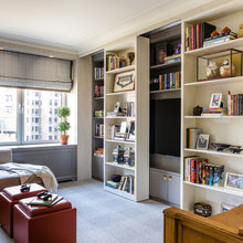 Basement TV Area