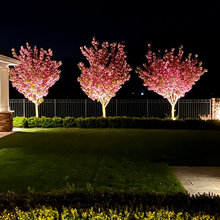 pool landscape lighting