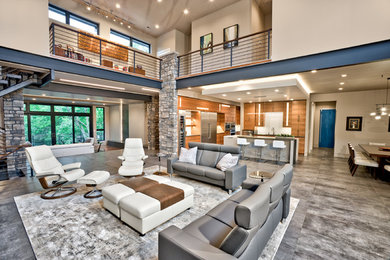 Living room - modern living room idea in Other