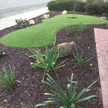 Completed Lawns and Turfs