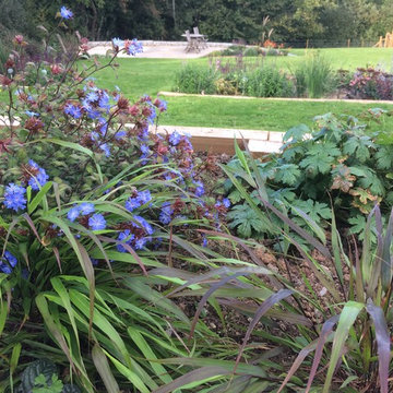 Sloped Rural Garden