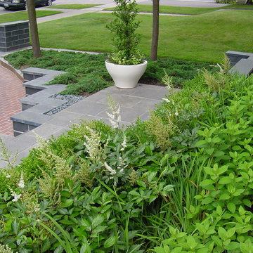 Forest Hill Front Yard Driveway