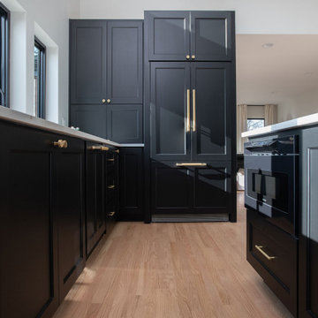 Modern Ranch Whole-Home Remodel & Addition | Arlington Heights, IL