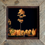 My Barnwood Frames - Rustic Frames, Barnwood Frame With 1/2" Alder Inset, Park City Series, 4"x6" - *PLEASE NOTE - Glass is included with frame sizes 16x20 or smaller. Larger sizes do not include glass due to the high risk of breakage in shipping. This rugged yet beautiful reclaimed wood frame gets its name from the world-famous city and ski resort that helped host the Winter 2002 Olympics. Park City is rustic romance in every sense of the word, and this beautiful barnwood frame is intended to represent the spirit and beauty of this beautiful mountain retreat.