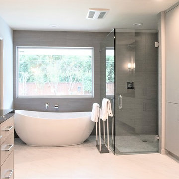 Contemporary Master Bath