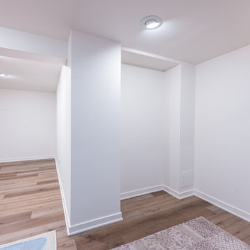 Luxury Basement Finishing Chicgo I $150K Moder Transformation