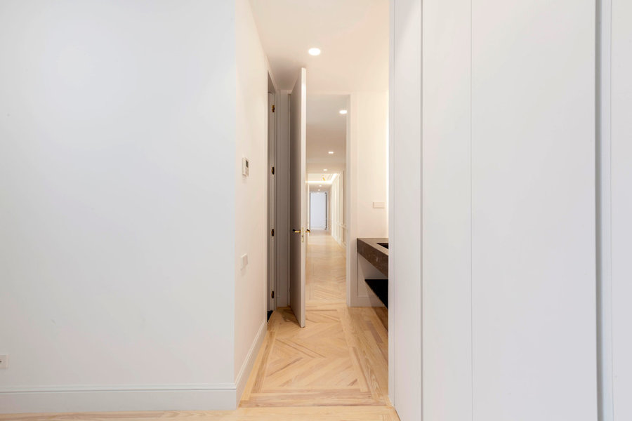 Proyecto de reforma, estudio Beta punto cero