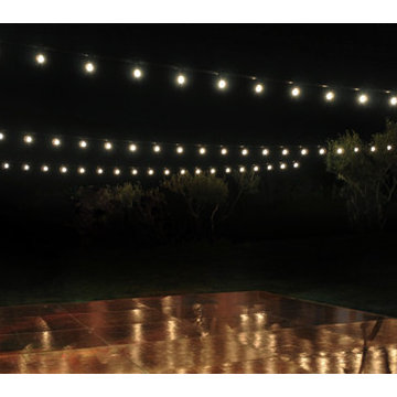 *NEW* Festive Lights!