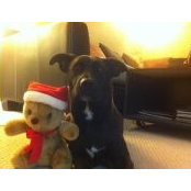 Ryan Samuel's photo