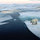 Daniel Schnier