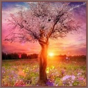 Jenn Gorga's photo