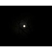 Wanda Dix's photo